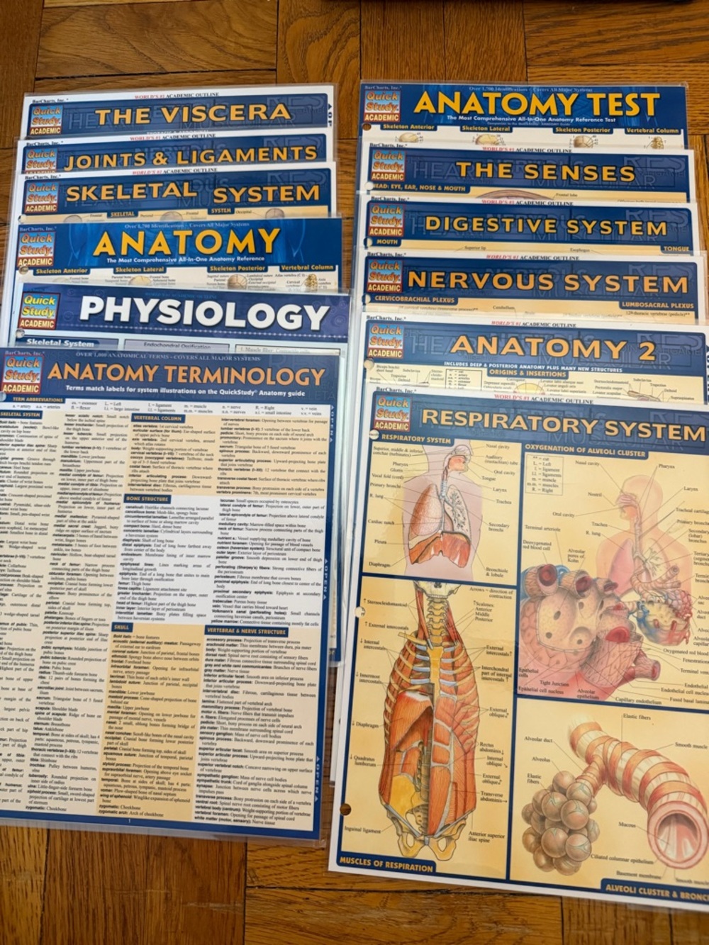 Quick Study Academic Body Systems